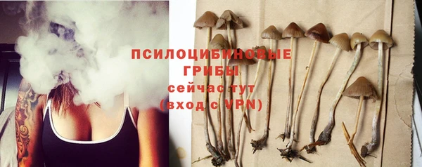 гашик Нефтекумск