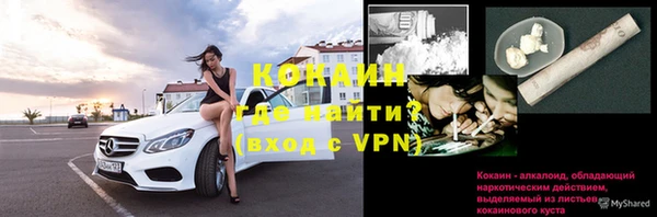 дмт Няндома