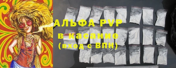гашик Нефтекумск
