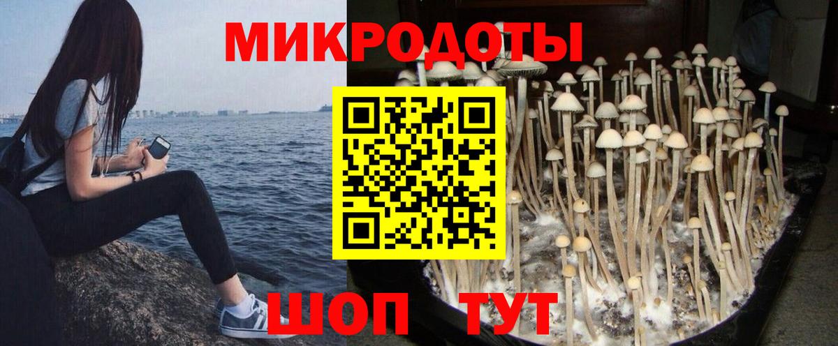 Галлюциногенные грибы Уварово