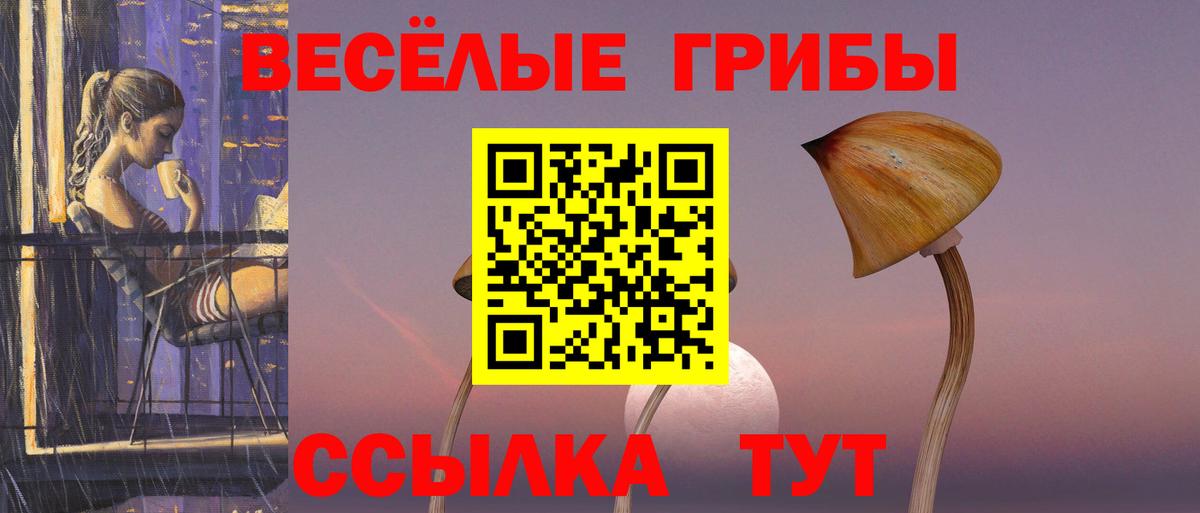 Галлюциногенные грибы Cubensis Уварово